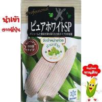 ราคา ทำมะชาดฟาร์ม ซองญี่ปุ่นแท้ มีคู่มือ เมล็ดพันธุ์ ข้าวโพดเพียวไวท์SP ข้าวโพดฮอกไกโด ข้าวโพดทานสด ข้าวโพดกินดิบ ข้าวโพดนมสด (519428287)