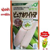 ราคา ทำมะชาดฟาร์ม ซองญี่ปุ่นแท้ มีคู่มือ เมล็ดพันธุ์ ข้าวโพดเพียวไวท์SP ข้าวโพดฮอกไกโด ข้าวโพดทานสด ข้าวโพดกินดิบ ข้าวโพดนมสด (519428286)