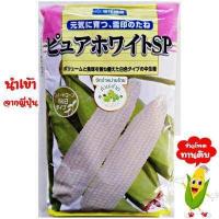 ราคา ทำมะชาดฟาร์ม ซองญี่ปุ่นแท้ มีคู่มือ เมล็ดพันธุ์ ข้าวโพดเพียวไวท์SP ข้าวโพดฮอกไกโด ข้าวโพดทานสด ข้าวโพดกินดิบ ข้าวโพดนมสด (527866012)