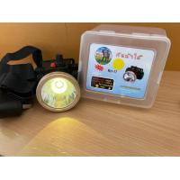 ราคา ไฟฉายคาดหัว ไฟคาดหัว ตราเสือ Mp 7004 ตราช้าง RH 17 ตรานก YT 864 แสงขาว แสงเหลือง ราคาต่อชิ้น (17303554753)