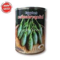 ราคา มะเขือเปราะลูกรักบี้ ขนาด 40 กรัม (9698398179)