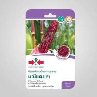 ราคา เมล็ดข้าวโพดข้าวเหนียว มณีแดง F1 ตราศรแดง ขนาด200กรัมและ80เมล็ด เมล็ดข้าวโพด เมล็ดพันธุ์ข้าวโพด เมล็ดข้าวโพดสีม่วง ข้าวโพดศรแดง (13851870460)