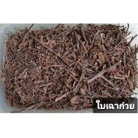 ราคา สมุนไพร ใบเฉาก๋วย อบแห้งอย่างดี 200 กรัม (7836486763)