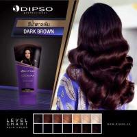 ราคา ดิ๊ฟโซ่แว๊กเปลี่ยนสีผม แบบหลอด DIPSO super Shine Hair color Wax 150 ml (18359937763)