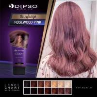 ราคา ดิ๊ฟโซ่แว๊กเปลี่ยนสีผม แบบหลอด DIPSO super Shine Hair color Wax 150 ml (18359937770)