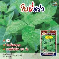 ราคา เมล็ดใบยี่หร่า Cumin เมล็ดพันธุ์ใบยี่หร่า เมล็ดยี่หร่า เมล็ดพันธุ์ยี่หร่า เมล็ดผักสวนครัว เมล็ดพันธุ์ผัก ตราภูเขาทอง (15914673131)