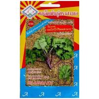ราคา เมล็ดพันธุ์ คะน้าเคล Kale มีให้เลือกหลายชนิด เคลใบหยิก สการ์เล็ตเคล บลูเคล ไดโนเคล เคลไซบีเรียน เคลรัสเซี่ยน เคลสีม่วง เคล ปูเล่ (14059687419)