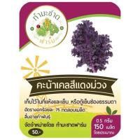 ราคา เมล็ดพันธุ์ คะน้าเคล Kale มีให้เลือกหลายชนิด เคลใบหยิก สการ์เล็ตเคล บลูเคล ไดโนเคล เคลไซบีเรียน เคลรัสเซี่ยน เคลสีม่วง เคล ปูเล่ (14059687415)