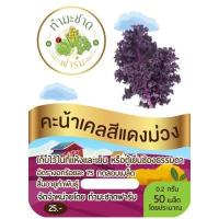ราคา เมล็ดพันธุ์ คะน้าเคล Kale มีให้เลือกหลายชนิด เคลใบหยิก สการ์เล็ตเคล บลูเคล ไดโนเคล เคลไซบีเรียน เคลรัสเซี่ยน เคลสีม่วง เคล ปูเล่ (14059687414)