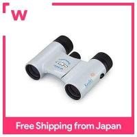 ราคา Kenko Sanrio SK CL0821CN Cinnamoroll (16640464116)