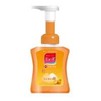 ราคา ส่งตรงจากญี่ปุ่น Muse สบู่ล้างมือ Muse สบู่ล้างมือน้ำหอมสบู่โฟมกลิ่นผลไม้สดชื่น250มล เติม900มล (18901771820)