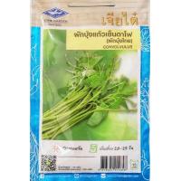 ราคา เมล็ดพันธุ์ผัก เจียไต๋ ผักซอง ผักกาดขาวใหญ่ ผักกาดขาวปลี ผักกาดเขียวปลี ผักบุ้งจีน คึ่นฉ่าย คื่นฉ่าย ผักบุ้งแก้ว ชุนฉ่าย ผักกาด (14176121703)