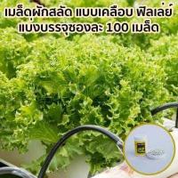 ราคา เมล็ดผักสลัด แบบเคลือบ แบ่งบรรจุ ซองละ 100 เมล็ด นำเข้าเนเธอร์แลนด์ ออแกนิค organic (715662459)