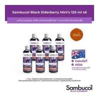 ราคา 6 ชิ้น Sambucol Black Elderberry Mini s Liquid แซมบูคอล แบล็ค เอลเดอร์เบอรี่ มินิส์ ชนิดน้ำ 120 มล ผลิตภัณฑ์เสริมอาหาร (15237557917)
