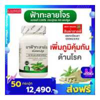 ราคา ฟ้าทลายโจร ฟ้าทะลายโจร กระปุกละ 60 แคปซูล เพิ่มภูมิ ต้านโรค จำนวน 1 กระปุก (9459587398)