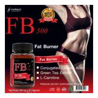 ราคา FB500 x 1 ขวด เผาผลาญไขมัน สารสกัดจากชาเขียว ซีแอลเอ แอลคาร์นิทีน โมริคามิ เอฟบี500 CLA Green Tea Extract L Carnitine Morikami L Carnitine แอล คาร์นิทีน Fat Burner (14488023367)