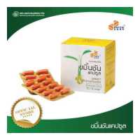 ราคา ขมิ้นชันแคปซูล PHYTO CARE 350 มิลลิกรัม (4442504557)