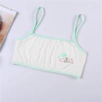 ราคา พร้อมส่งจากไทยค่ะ ชุดชั้นในเด็กลาย เสื้อซับในเด็ก ครึ่งตัว ผ้าฝ้ายบางลายการ์ตูน น่ารักใส่ได้ 8 12 ขวบ (18266424451)