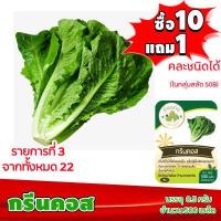 ราคา ซื้อ10แถม1 ฟรีคู่มือ เมล็ดพันธุ์ กรีนคอส GREEN COS 0 5กรัม ประมาณ 500เมล็ด ทำมะชาดฟาร์ม ผักสลัด เมล็ดพันธุ์สลัด เมล็ดสลัด เม็ดผักสลัด (2486702152)