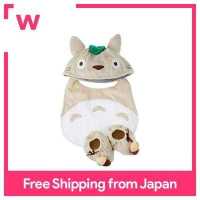 ราคา ลูกศรดวงอาทิตย์ชุดของขวัญเด็ก K8644โตโตโร่ขนาดใหญ่ (18023618029)