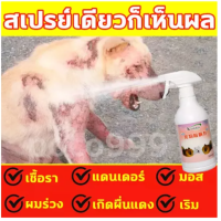 ราคา Kaililai สเปรย์รักษาขี้เรื้อน 500ml ยาขี้เรื้อนหมา ยาแก้เรื้อนหมา ยารักษาขี้เรื้อนหมา ผื่นแดง อาการคัน ผิวหนังอักเสบ ตุ่มคัน ขี้เรื้อนเรื้อรัง เชื้อราแมว ยาทาขี้เรื้อน ยาแก้เรื้อน (17280038306)
