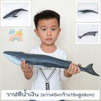 ราคา COD โมเดลสัตว์ทะเลตัวใหญ่ พร้อมส่ง ไซส์จัมโบ้ ไม่บาดมือ ขนาดใหญ่ โมเดลสัตว์ทะเล โมเดลปลาฉลาม โมเดลวาฬ Marine Animal (19189992617)