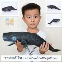 ราคา COD โมเดลสัตว์ทะเลตัวใหญ่ พร้อมส่ง ไซส์จัมโบ้ ไม่บาดมือ ขนาดใหญ่ โมเดลสัตว์ทะเล โมเดลปลาฉลาม โมเดลวาฬ Marine Animal (19189992619)