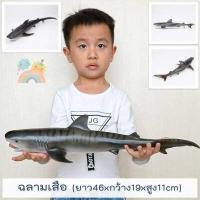 ราคา COD โมเดลสัตว์ทะเลตัวใหญ่ พร้อมส่ง ไซส์จัมโบ้ ไม่บาดมือ ขนาดใหญ่ โมเดลสัตว์ทะเล โมเดลปลาฉลาม โมเดลวาฬ Marine Animal (19189992615)
