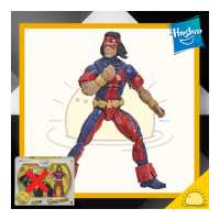ราคา แยกออกจากแพ็คคู่ Marvel s Thunderbird Marvel X men Legends Series Action Figure ไม่มีกล่อง 6 นิ้ว ฟิกเกอร์ ของเล่นของสะสม (10845688545)
