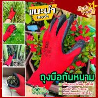 ราคา ถุงมือกันหนาม ถุงมือทำสวน ถุงมือกันหนามชะอม ถุงมือปลูกกระบองเพชร ถุงมือกันหนามแคคตัส ถุงมือกันลื่น (10116888393)