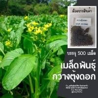 ราคา เมล็ดผักสวนครัว ถูกที่สุด งอกง่าย โตไว สามารถปลูกได้ทุกที่ เมล็ดผัก เมล็ดผักสวนครัว (15572762857)