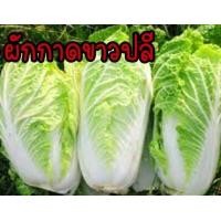 ราคา เมล็ดผักสวนครัว ถูกที่สุด งอกง่าย โตไว สามารถปลูกได้ทุกที่ เมล็ดผัก เมล็ดผักสวนครัว (15572762837)