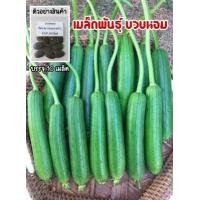 ราคา เมล็ดผักสวนครัว ถูกที่สุด งอกง่าย โตไว สามารถปลูกได้ทุกที่ เมล็ดผัก เมล็ดผักสวนครัว (15572762860)