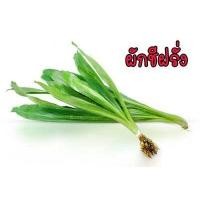 ราคา เมล็ดผักสวนครัว ถูกที่สุด งอกง่าย โตไว สามารถปลูกได้ทุกที่ เมล็ดผัก เมล็ดผักสวนครัว (15572762822)