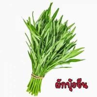 ราคา เมล็ดผักสวนครัว ถูกที่สุด งอกง่าย โตไว สามารถปลูกได้ทุกที่ เมล็ดผัก เมล็ดผักสวนครัว (15572762823)