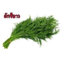 ราคา เมล็ดผักสวนครัว ถูกที่สุด งอกง่าย โตไว สามารถปลูกได้ทุกที่ เมล็ดผัก เมล็ดผักสวนครัว (15572762827)