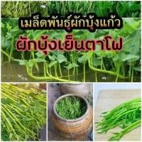 ราคา เมล็ดผักสวนครัว ถูกที่สุด งอกง่าย โตไว สามารถปลูกได้ทุกที่ เมล็ดผัก เมล็ดผักสวนครัว (15572762828)