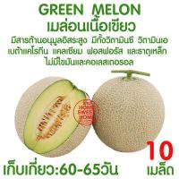 ราคา ค่าส่งถูก ตาข่ายปลูกผัก อวนแตง ตา36 38 42 ซม ตาข่ายปลูกพืชผัก ค้างแตง อวนค้างแตง อวนมะระ อวนปลูกผัก ตาข่ายปลูกแตง ไม้เลื้อย ถั่วฝักยาว (18014452234)