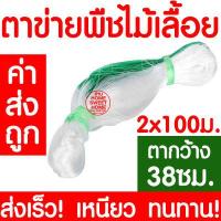 ราคา ค่าส่งถูก ตาข่ายปลูกผัก อวนแตง ตา36 38 42 ซม ตาข่ายปลูกพืชผัก ค้างแตง อวนค้างแตง อวนมะระ อวนปลูกผัก ตาข่ายปลูกแตง ไม้เลื้อย ถั่วฝักยาว (10633578104)