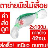 ราคา ค่าส่งถูก ตาข่ายปลูกผัก อวนแตง ตา36 38 42 ซม ตาข่ายปลูกพืชผัก ค้างแตง อวนค้างแตง อวนมะระ อวนปลูกผัก ตาข่ายปลูกแตง ไม้เลื้อย ถั่วฝักยาว (10633578105)
