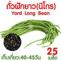 ราคา ค่าส่งถูก ตาข่ายปลูกผัก อวนแตง ตา36 38 42 ซม ตาข่ายปลูกพืชผัก ค้างแตง อวนค้างแตง อวนมะระ อวนปลูกผัก ตาข่ายปลูกแตง ไม้เลื้อย ถั่วฝักยาว (18790750122)