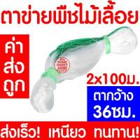 ราคา ค่าส่งถูก ตาข่ายปลูกผัก อวนแตง ตา36 38 42 ซม ตาข่ายปลูกพืชผัก ค้างแตง อวนค้างแตง อวนมะระ อวนปลูกผัก ตาข่ายปลูกแตง ไม้เลื้อย ถั่วฝักยาว (10633578103)
