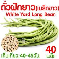 ราคา ค่าส่งถูก ตาข่ายปลูกผัก อวนแตง ตา36 38 42 ซม ตาข่ายปลูกพืชผัก ค้างแตง อวนค้างแตง อวนมะระ อวนปลูกผัก ตาข่ายปลูกแตง ไม้เลื้อย ถั่วฝักยาว (18790750118)