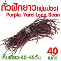 ราคา ค่าส่งถูก ตาข่ายปลูกผัก อวนแตง ตา36 38 42 ซม ตาข่ายปลูกพืชผัก ค้างแตง อวนค้างแตง อวนมะระ อวนปลูกผัก ตาข่ายปลูกแตง ไม้เลื้อย ถั่วฝักยาว (18790750119)
