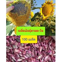 ราคา เมล็ดพันธุ์ทานตะวัน อะควอร่า6 บรรจุ 100 เมล็ดแถมฟรีวิธีปลูก ดอกใหญ่ เหลืองสวยงาม ทนแล้ง ให้ผลผลิตสูง (13468473667)