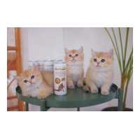 ราคา TINY TYGER GOAT MILK นมแพะสด100 เสริมทอรีน 245 มล (13639315510)