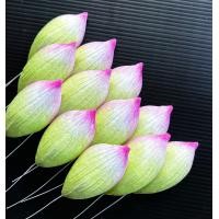 ราคา กลีบบัว กลีบดอกบัวผ้ากันน้ำได้ แพคละ50กลีบ กลีบดอกบัวสำหรับงานประดิษฐ์ (16589792109)