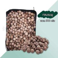 ราคา วัสดุกรอง เซรามิกริง มาพร้อมถุงซิบ มีให้เลือก 2 ขนาด By วสันต์อุปกรณ์ปลาสวยงาม (10488633386)