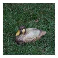 ราคา C C HOME Decorative Resin Mallard Duck โมเดลเป็ด โมเดลเรซิ่น ของตกแต่งบ้าน เรซิ่นเป็ด เรซิ่นแต่งบ้าน พร๊อพแต่งฉาก พร๊อพถ่ายรูป (8289224114)