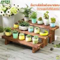 ราคา ชั้นวางกระบองเพชร ชั้นวางของ ชั้นวางต้นไม้ ชั้นวางกระถาง ชั้นวางกระถางต้นไม้ ชั้นไม้ ชั้นวางของเอนกประสงค์ ชั้นวางแคคตัส Tree shelf (7170656498)